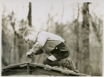 Unidentified samll boy concentrates on sawing the uneven end of a shingled.