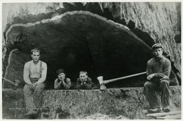 This photograph was published in "Tumult on the Mountain" by Roy Clarkson and identified as: "The men shown here are Howard and Obie Bohon of St. George, Tucker County,  West Virginia [the two boys are not identified].  Courtesy Ruth M. Barrho"Recent investigation has shown that the original glass plate negative for this image is located in the Palmquist Collection, HSU Library, Humboldt State University, Arcata, California.  For more information refer to the article West Virginia's Big Trees: Setting the Record Straight by Van Gundy and Rob Whetsell in the Journal of Forestry 114(5):582–583 http://dx.doi.org/10.5849/jof.15-104.