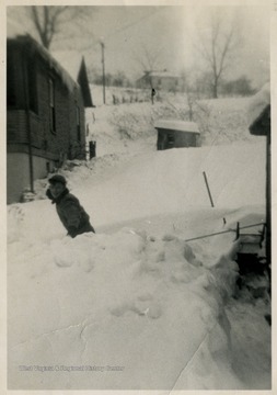 'Mrs. Helen Dadich 434 Harding Ave.'