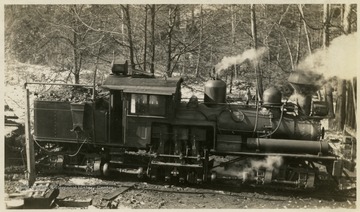 It could be a Glade Lumber Company Train in Erwin, W. Va.