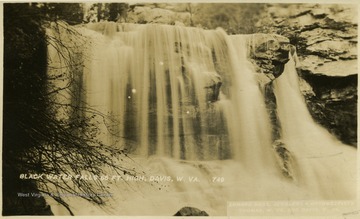 Postcard photograph of the falls, measuring 66 ft. high. Information included on the front of the photograph, "Erhard Bros. Jewelers &amp; Optometrists, Thomas, W. Va. and Davis, W. Va.".