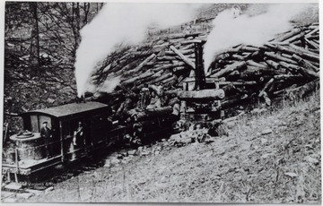 Train carrying hundreds of logs.