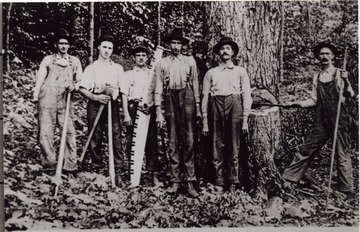 Men posed in a portrait with various logging tools. Man on far right is holding onto an ax that is in the process of cutting down a tree. Portrait taken near the Hacker Valley area.