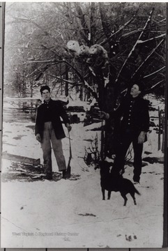 Portrait of two men with guns and a dog looking up into a tree at three possums.