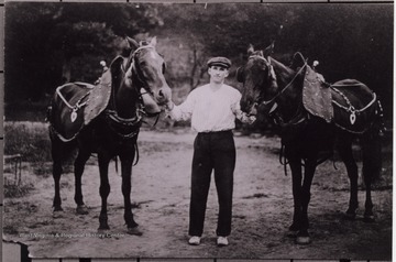 Man posed between two horses. 