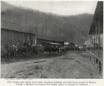 On the front: "Five teams- six mules each team- hauling building material from mouth of Beaver Creek, a distance of twenty-five miles, prior to arrival of railroad."