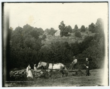Unidentified farm showing the use of the horse-drawn hay rake.