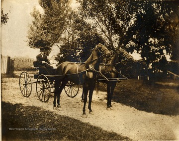 A man and little girl sitting in four wheeled buggy harnessed to two horses. The little girl is possibly Frances Packette.