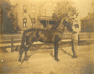 African-American man holding a horse in front of the Gibson - Packette house on Samuel Street.