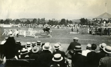 Photograph features an equestrian event, show jumping.
