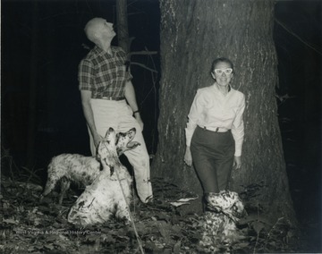 George and Kay Evans and three blue beltons setters, standing next to a huge virgin hemlock.