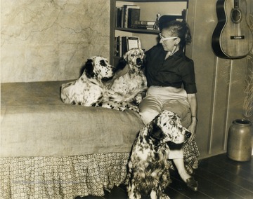 Kay Evans sits on a bed with three Blue Belton Setters. The Evans were well known for breeding excellent English Blue Belton Setters.
