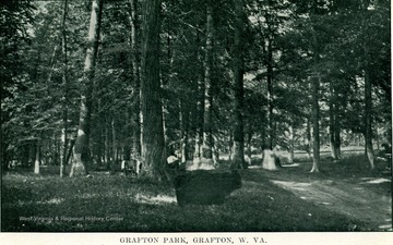 Post card print of wooded area in the Grafton Park.