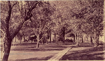 Postcard photograph of Stonewall Jackson's Headquarters. Most of the building is obscured by trees. See back of the original image for correspondence. 