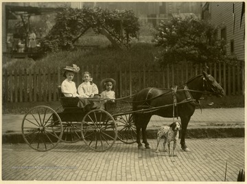 Three little girls pose in a cart hitched to a pony with a dog on a leash tied to the harness. The only identified child is Ada Robinson, sitting-right.