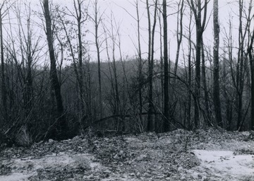 Camp was more than likely used by company guards who were stationed atop the mountain during the Battle of Blair Mountain.