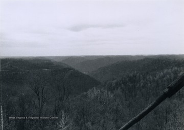 Photograph taken of the west side of Blair Mountain from fire tower l.