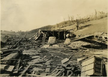 Among the survivors of the tornado was a horse, paddocked in what's left of a barn and an automobile parked in the debris.