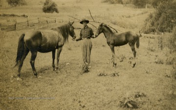 John Ball feeding two horses.