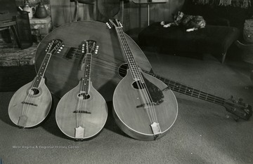 Smallest to largest instruments: mandolin, mandola, mandocello, and mandobass