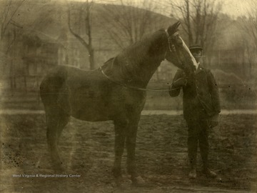 African-American man, not identified, holds a horse by reins.