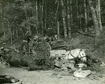 Information included on back: "Dead horses and wrecked vehicles of German convoy are strewn along road in vicinity of Lus, Germany. Following attack on convoy by American Dive Bombers. Germans were trying to escape from encirclement by troops of the 3rd and 7th U.S. Armies." (U.S. Signal Corps).