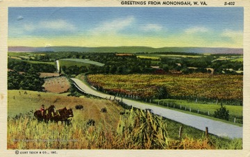 Person rides atop a horse through the fields in Monogah, West Virginia. See original for correspondence. Published by Curt Teich and Company. (From postcard collection legacy system.)