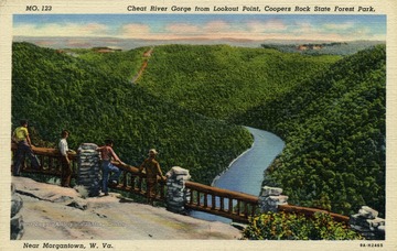 Caption on back of postcard reads: "Coopers Rock State Forest fronts Cheat Lake in Monongalia and Preston counties. It includes the imposing formation which long has been a mecca for enterprising hikers and nature lovers from the University city of Morgantown. Now a motor road brings you directly to the magnificent view of Cheat River gorge." Published by Minksy Brothers and Company. (From postcard collection legacy system.)