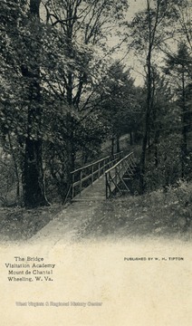 Wooden walking bridge in woods at Mount de Chantal. Published by W.H. Tipton. (From postcard collection legacy system.)