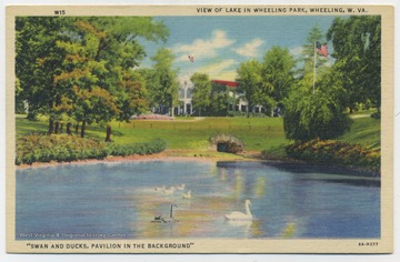 Swan and ducks as well as pavilion in the background. Published by Phillips News Co. (From postcard collection legacy system.)