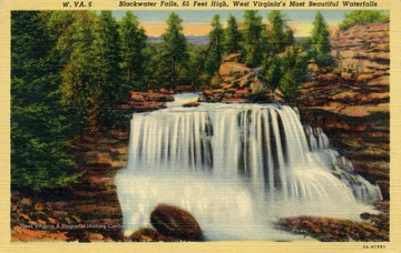 Caption on back of postcard reads: "Near U.S. 219 at Thomas, Tucker County, is Blackwater Falls, 65 feet high. It is the most impressive spot in the rugged gorge of the Blackwater which drains the lovely Canaan Valley, rimmed about by mountains 3,700 feet high. This region was made famous in "Blackwater Chronicles", by Porte Crayon, the pen-name of General David Hunter Strother." Published by Genuine Curteich. (From postcard collection legacy system.)