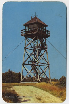 Published by Naturecraft. See original for postcard information on the Monongahela National Forest and its fire towers. (From postcard collection legacy system.)