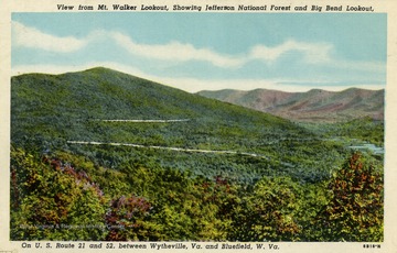 On U.S. Route 21 and 52. Caption on back of postcard reads: "Big Walker Mountain is one of the highest ridges in south-west West Virginia. These mountains abound in rare wild flowers including Azaleas, Rhododendron and Laurel and the rare Sourwood Tree, the blossoms of which yield the world's finest honey." Published by Genuine Curteich. (From postcard collection legacy system--Non-WV.)