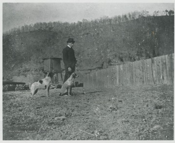 Robert O. Murrell and his dogs stroll across the park. Stockpens are pictured on the left in the distance.