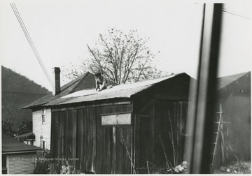 A 65-year-old woman repairs the roof of a shed. Subject unidentified. 