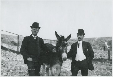 Two men pose with a mule. Subjects unidentified. 