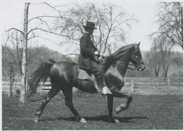 An unidentified man pictured on a horse.