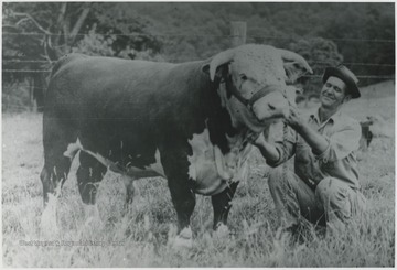 C. S. Dillon kneels beside his prize animal. 