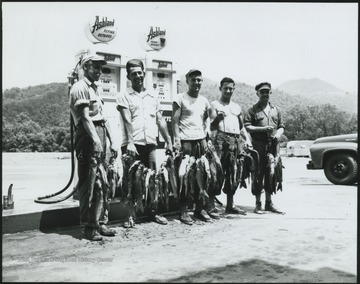 Five unidentified men pose in front of Ashland gas pumps with the schrader fish they have caught. 