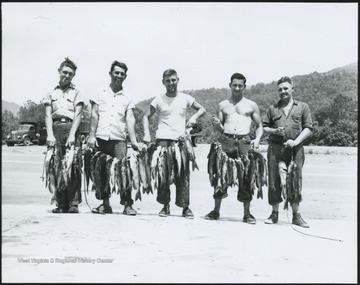 Five unidentified young men pose with the large quantity of fish they caught.