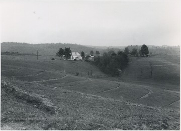 A house is pictured in the distance. 