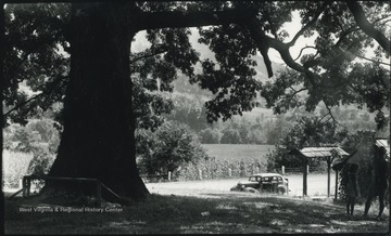 A large tree towers over an older woman and younger girl who are looking out to the street. Subjects unidentified.The Graham family was one of the first families to settle in the Summers County area, ca. 1770. Col. James Graham built the log home ca. 1770.