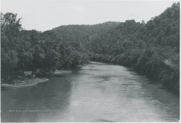 View of the river cutting through a crowded forest. 