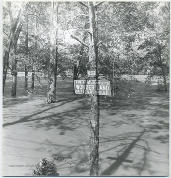 A sign on the tree reads, "For Rent: Camp Site Wonder Land of Picnic Table, $1". 