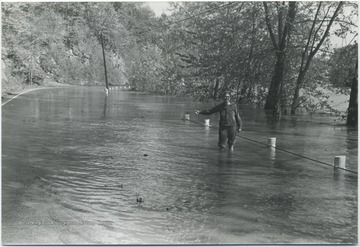 An unidentified woman standing in knee-high water with her pants rolled up holds her hand out with her thumb up as if signaling for a ride. 
