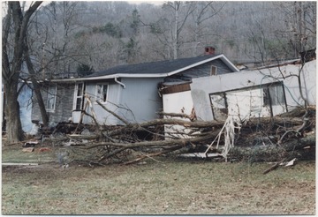 Fallen trees lay beside the broken house. 