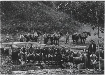 Edgar Bowles, Harvie Fox, and Mr. Mullins pictured with company employees and horses.