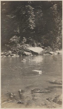 Three unidentified persons and a dog are pictured in the water.About a 1/4 mile up the river from this location near the mouth of the river, baptizing's were held. 