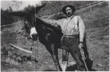 Buckland, son of Richard Weatherhead, and his mule "Genny" are pictured. 