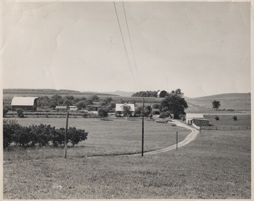View of the farm house and grounds which extend far beyond the photograph's view.
